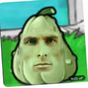 VL_VL