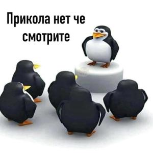 MG как узнать кто выбирал режим 5 раз