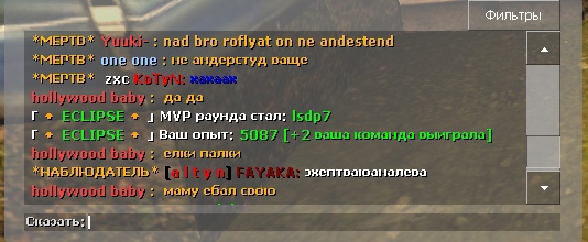 тикет или мб жб, на kotyn, мут не по теме (оскорбление родных и т.д.)